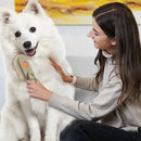 Escova Removedora de Pelos Para Pets a Vapor 3 em 1 - Frete Grátis Somente Hoje
